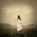 Song Bird