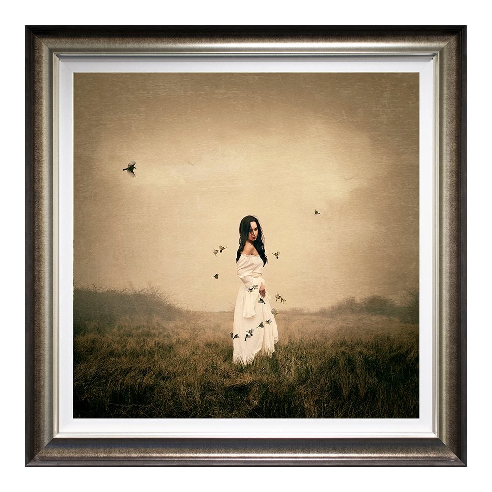 Song Bird