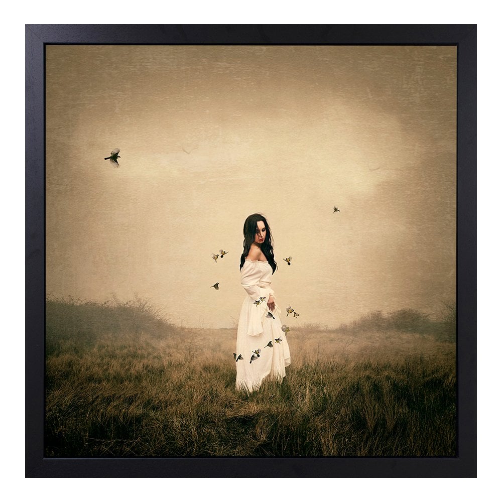 Song Bird