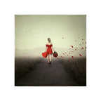 Hearts & Roses (Valentines Special)