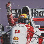 Concourse Senna - The Wall Of Champions Series