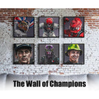 Like A Rollercoaster - The Wall Of Champions Series