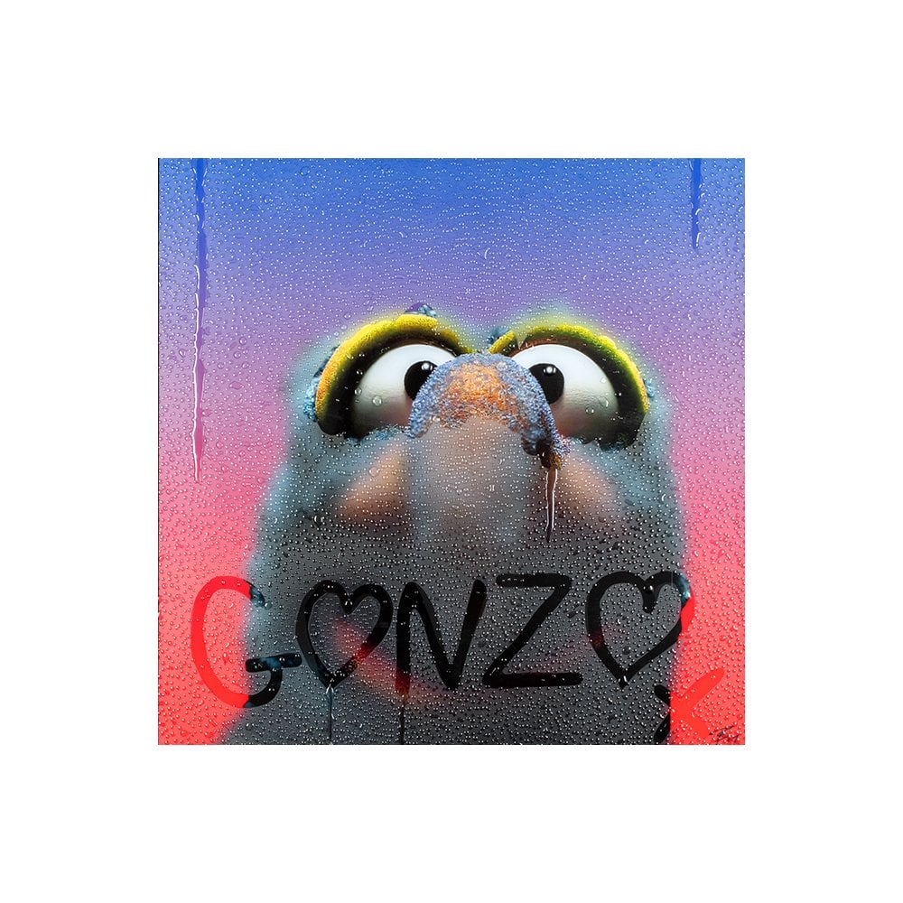 Gonzo