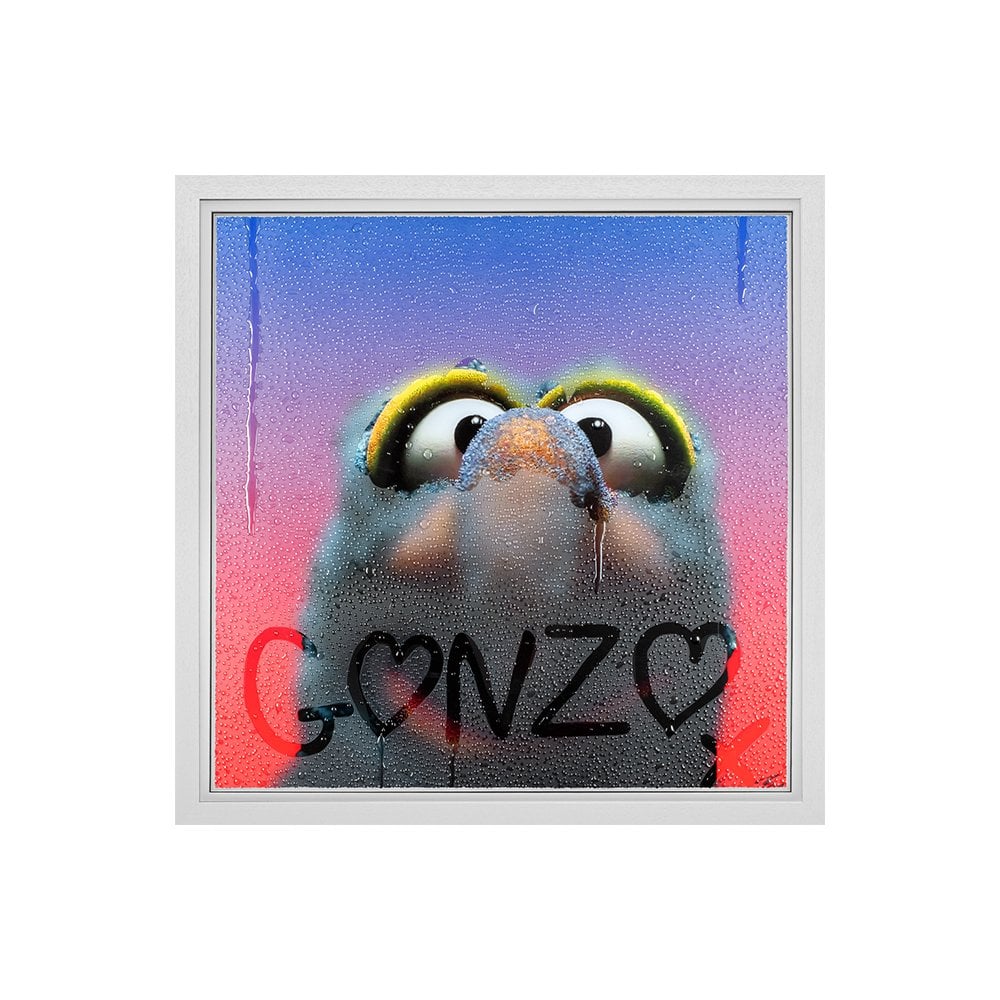 Gonzo