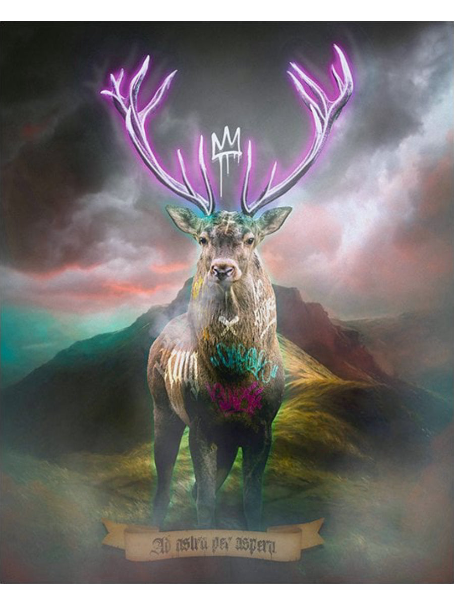 Highland Hunk (Purple)