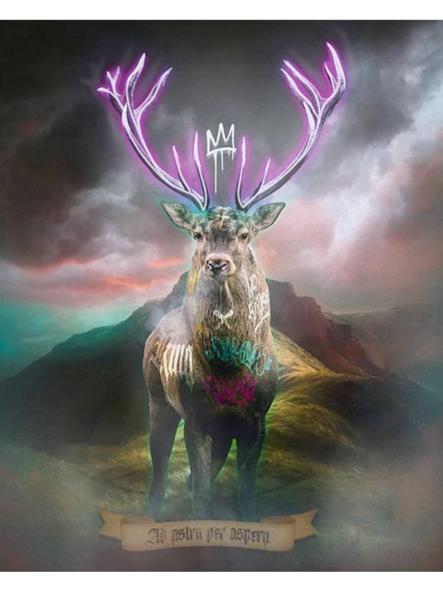 Highland Hunk (Purple)