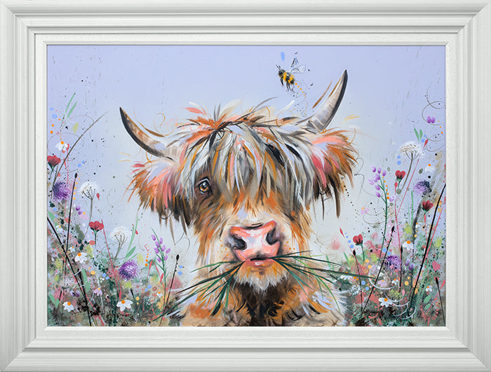 Highland Blooms