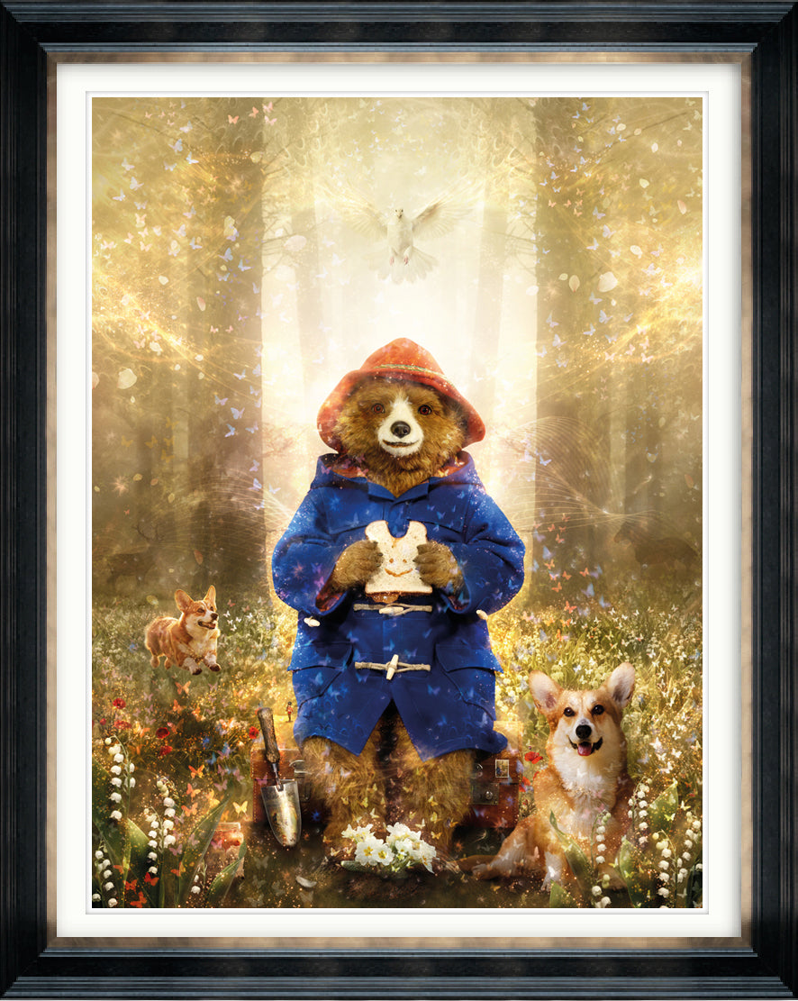 Where Memories Take Flight (Paddington Bear)