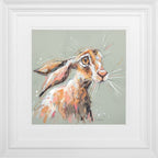 Hetty Hare