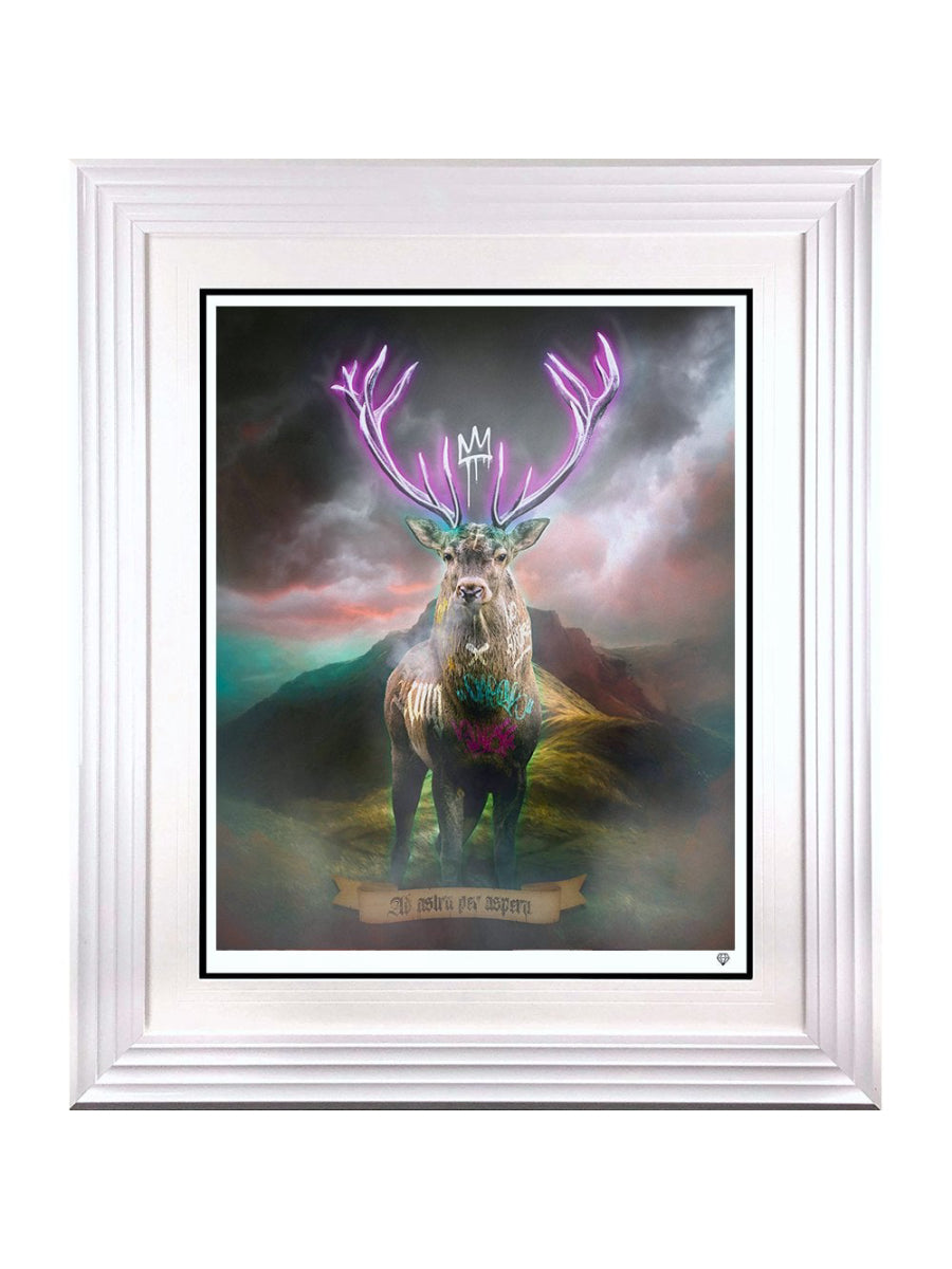 Highland Hunk (Purple)