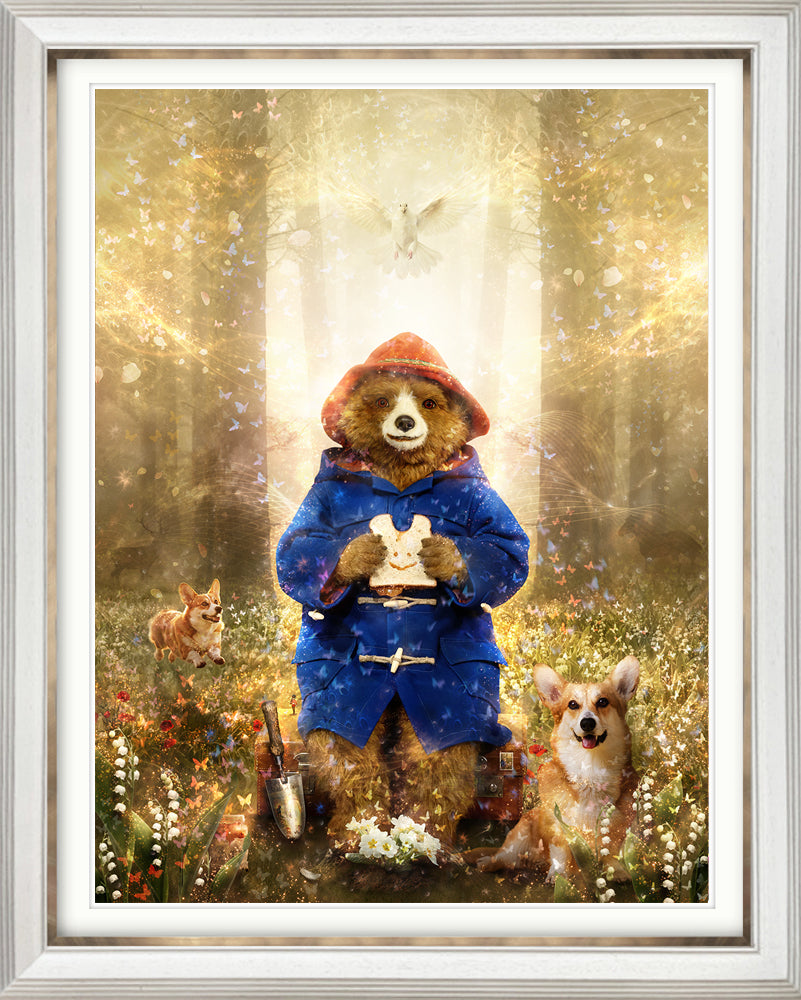 Where Memories Take Flight (Paddington Bear)
