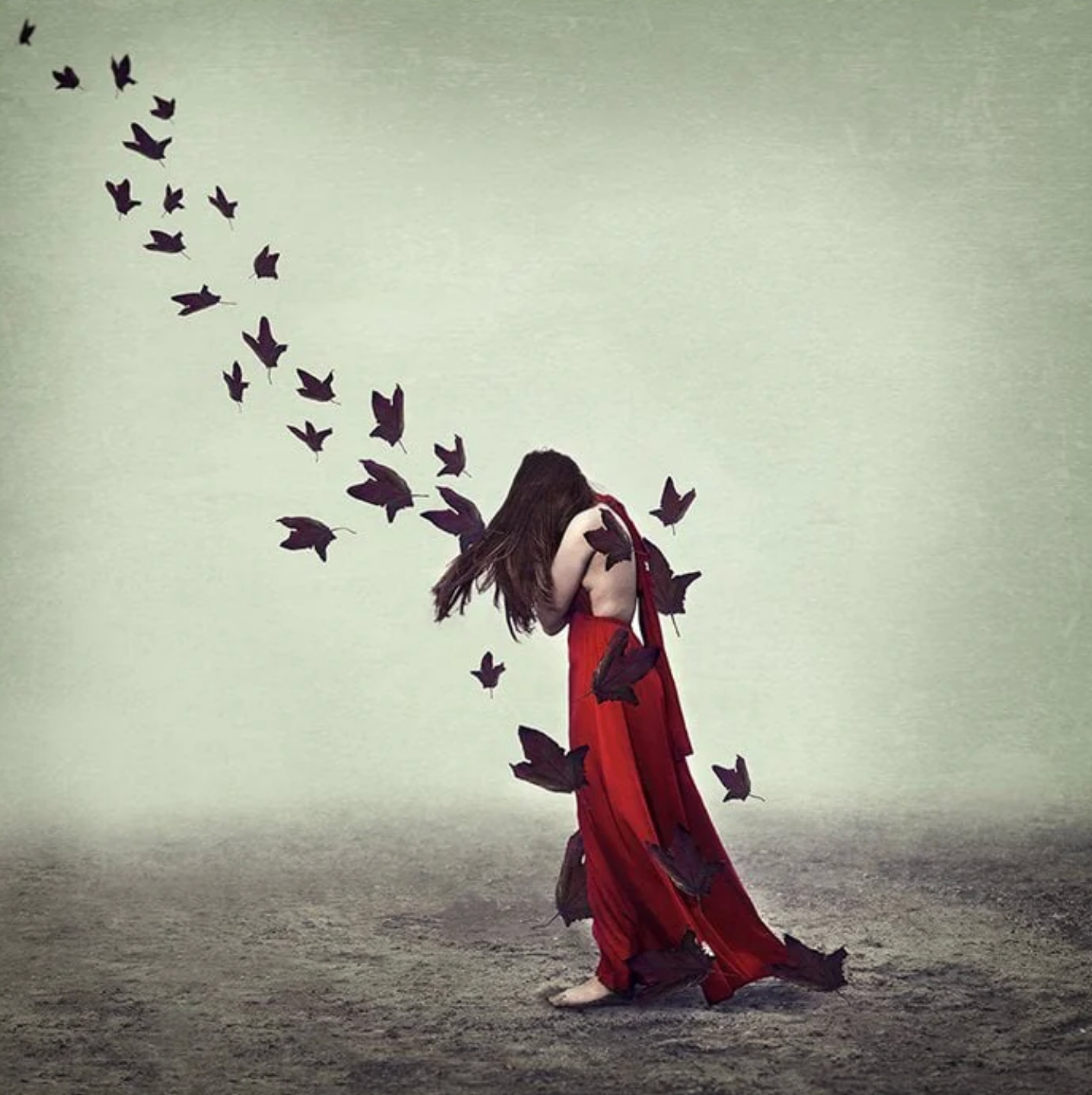 Release