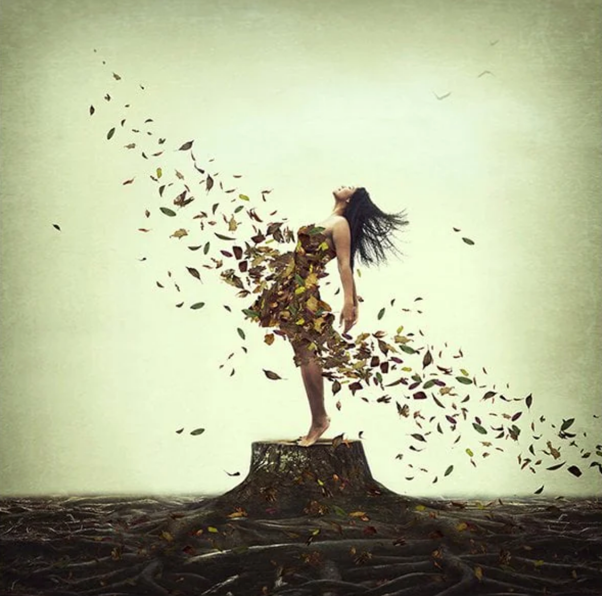 Everlasting Roots