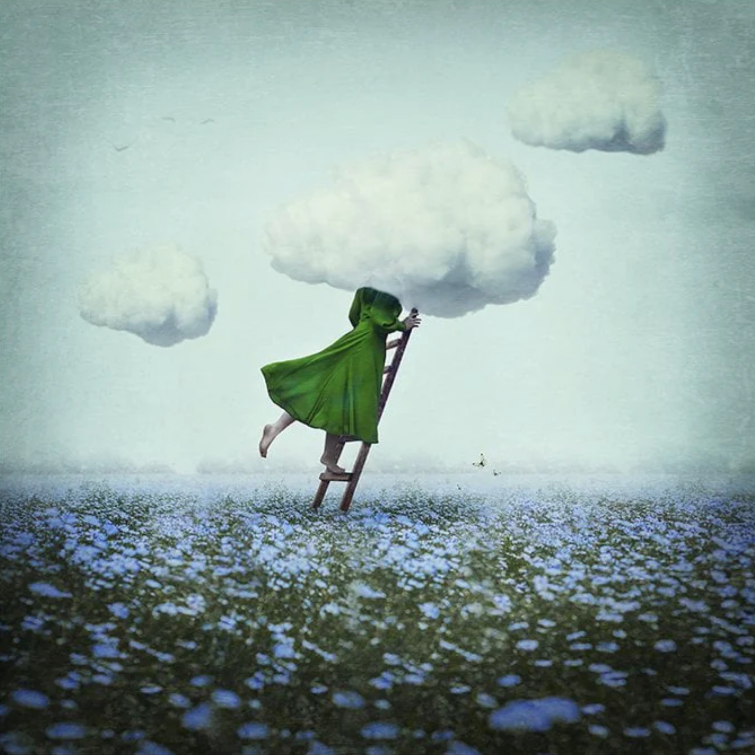 Head In The Clouds