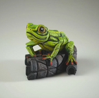 African Tree Frog (Green)
