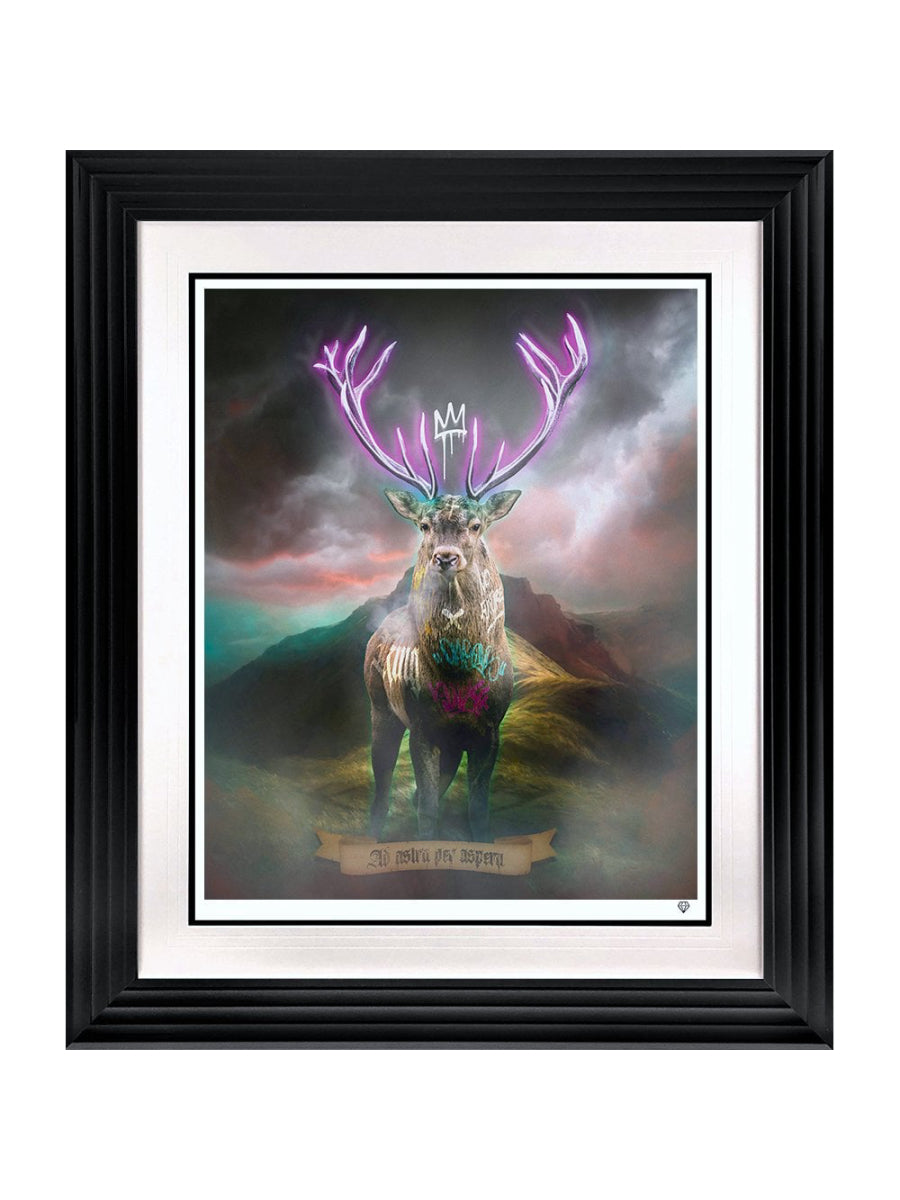 Highland Hunk (Purple)