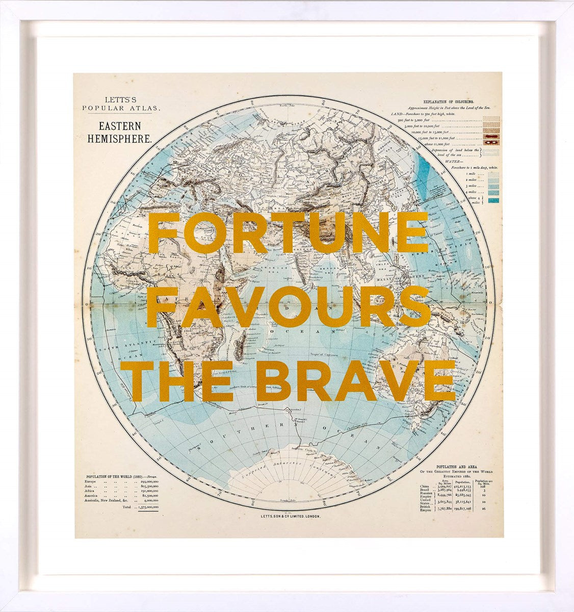Fortune Favours The Brave