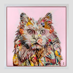 Pampurred