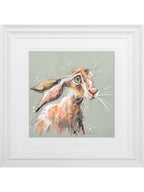Hetty Hare