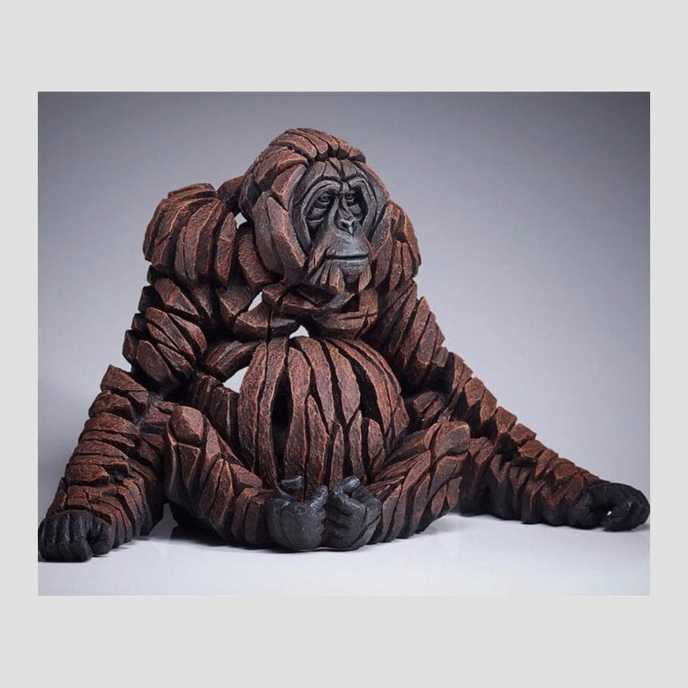 Orangutan