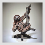 Three Toed Sloth