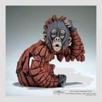 Baby Oh Orangutan
