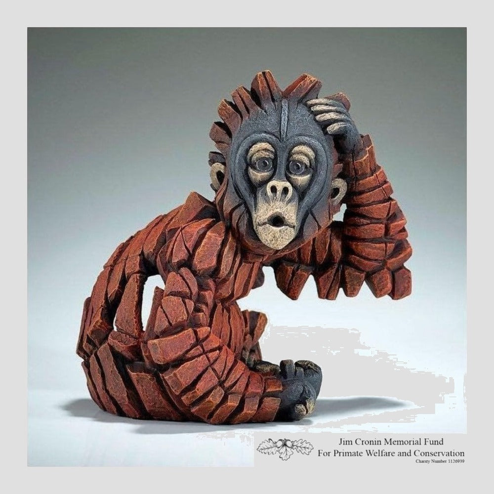 Baby Oh Orangutan