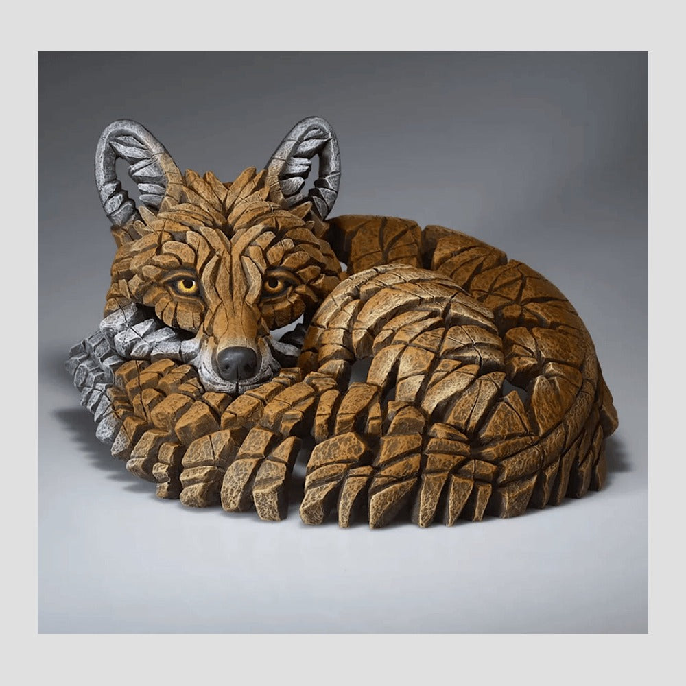 Curled Up Fox