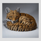 Curled Up Fox