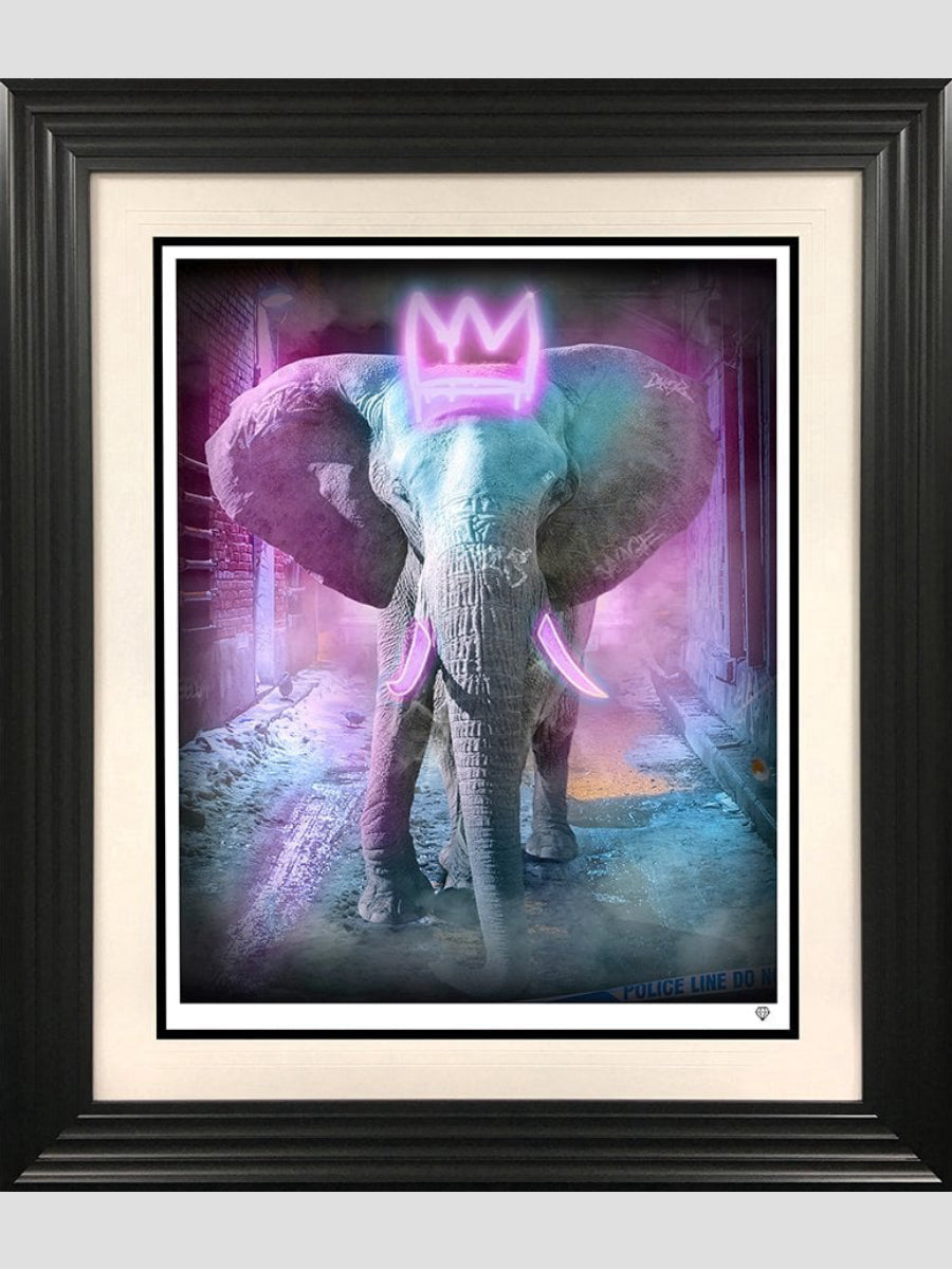 Young Bull (neon pink)