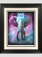 Young Bull (Neon blue)