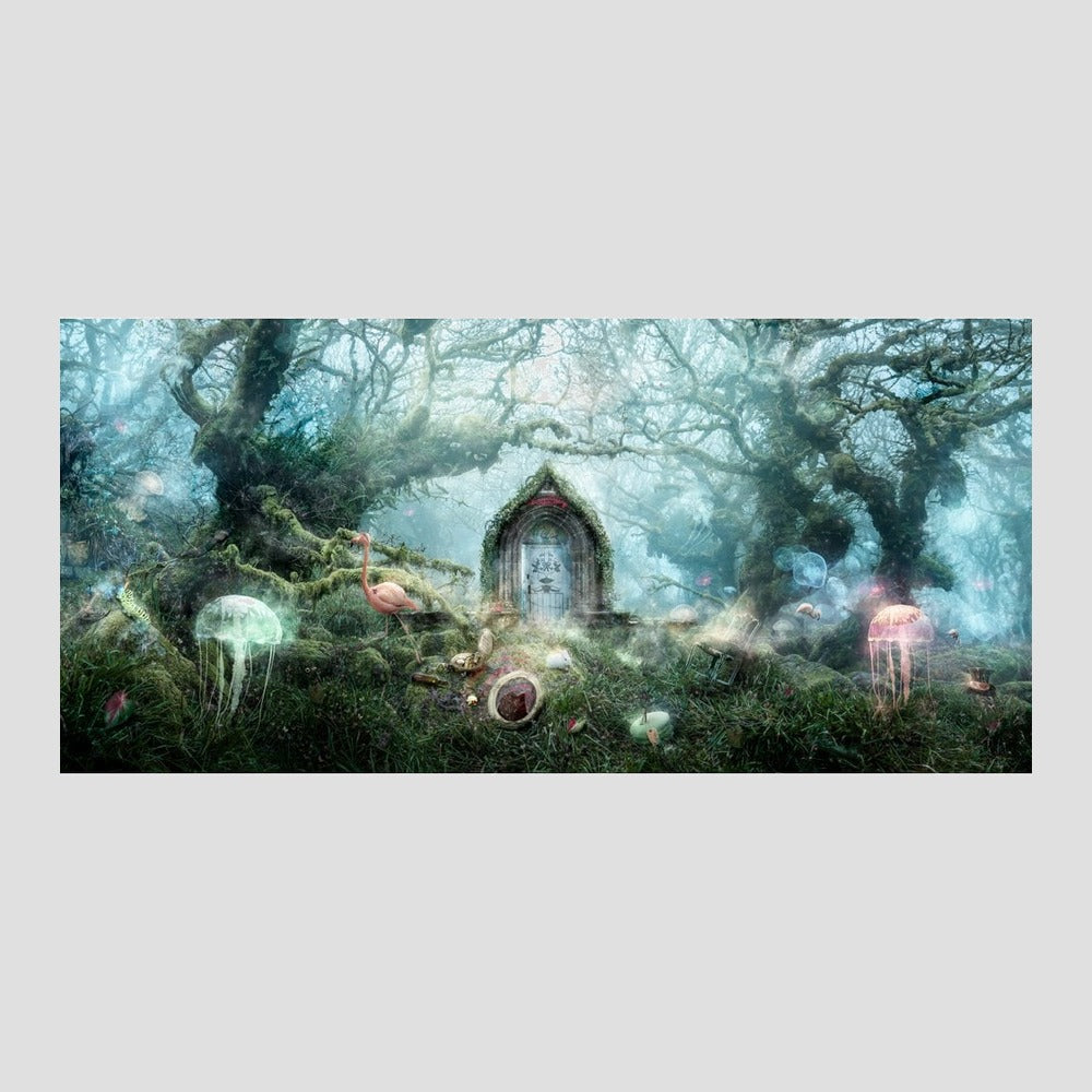 The Open Door (Alice in Wonderland- standard size)