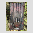 Freddy Kruger Claw - Hand Crafted Statement Piece