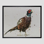 Jack The Pheasant