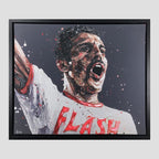 Flash