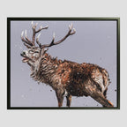 Monarch Of The Glen