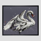 John The Swan
