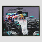 Lewis Mexico 17