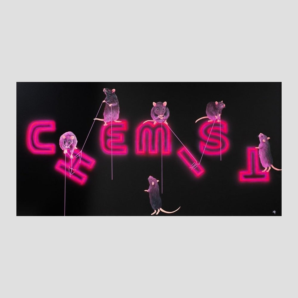 Rats Fixing The Chemist
