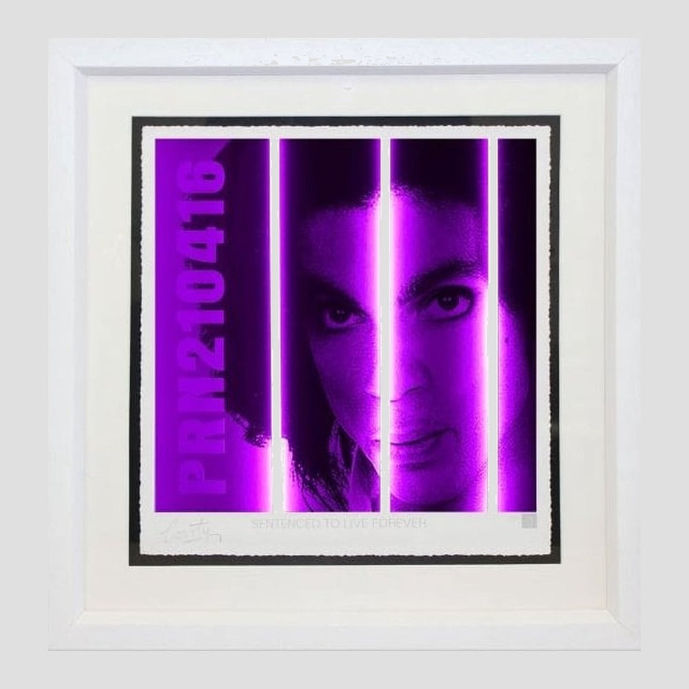 Prince - Life Series