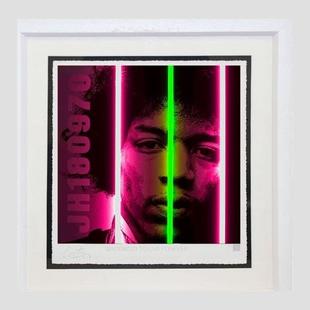 Jimi Hendrix - Life Series