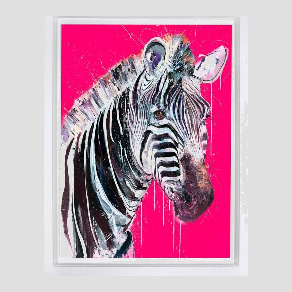Grevy's Zebra I