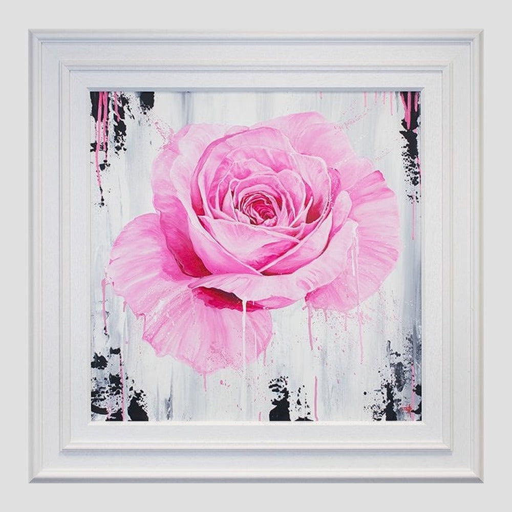 A Magenta Rose