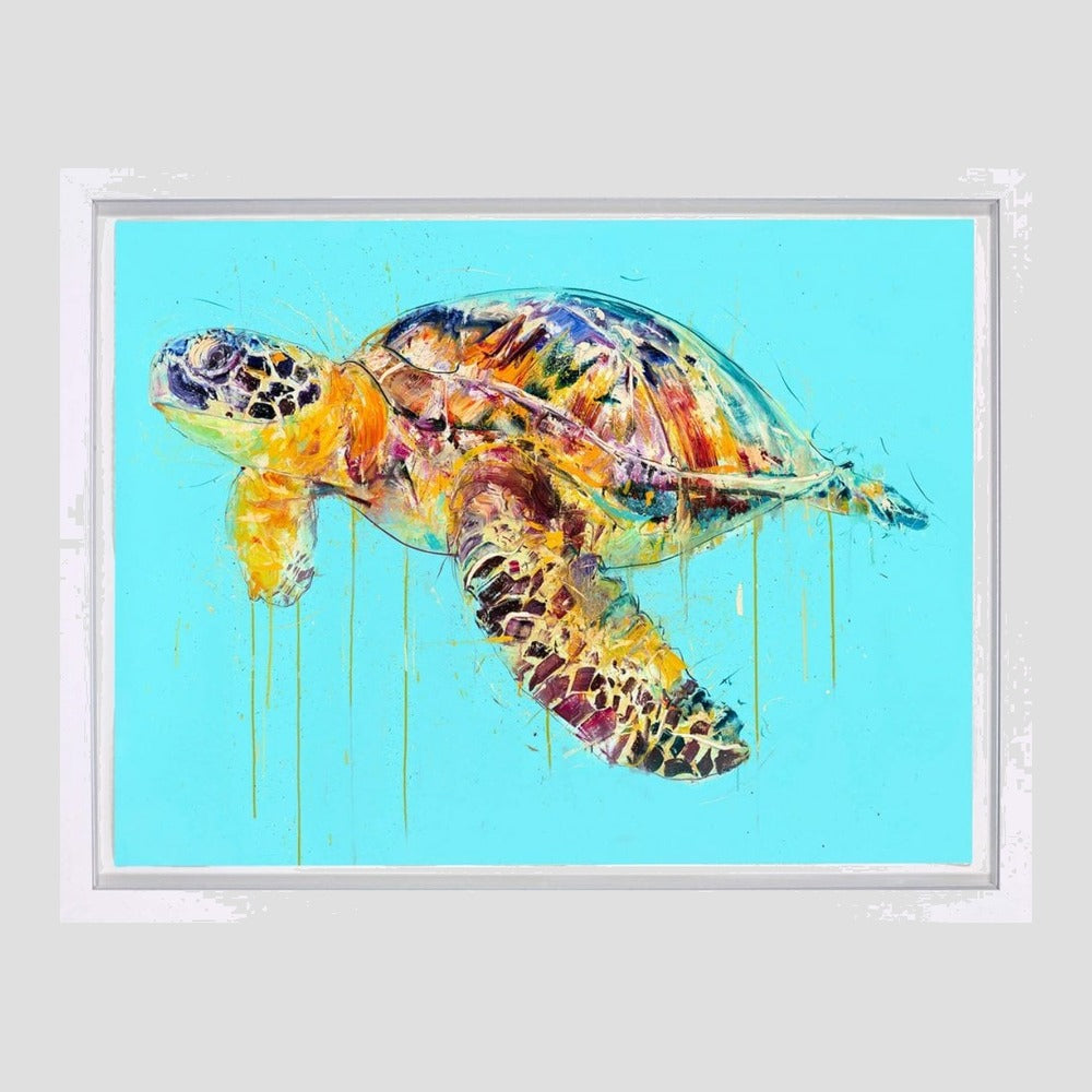 Sea Turtle