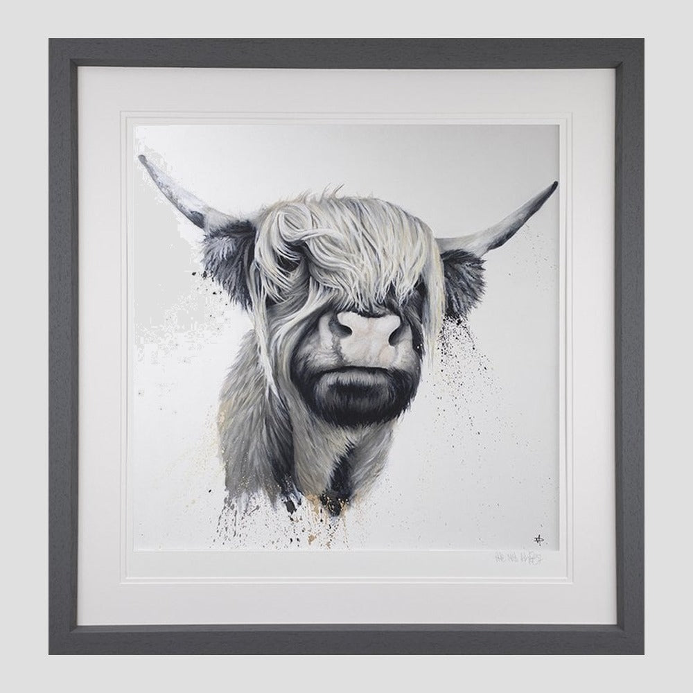 Highland Cow