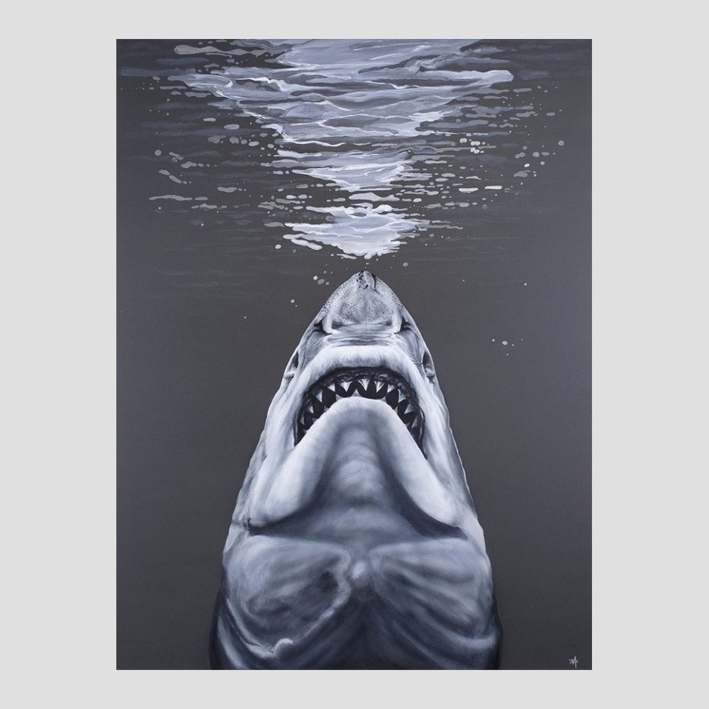 The Real Jaws