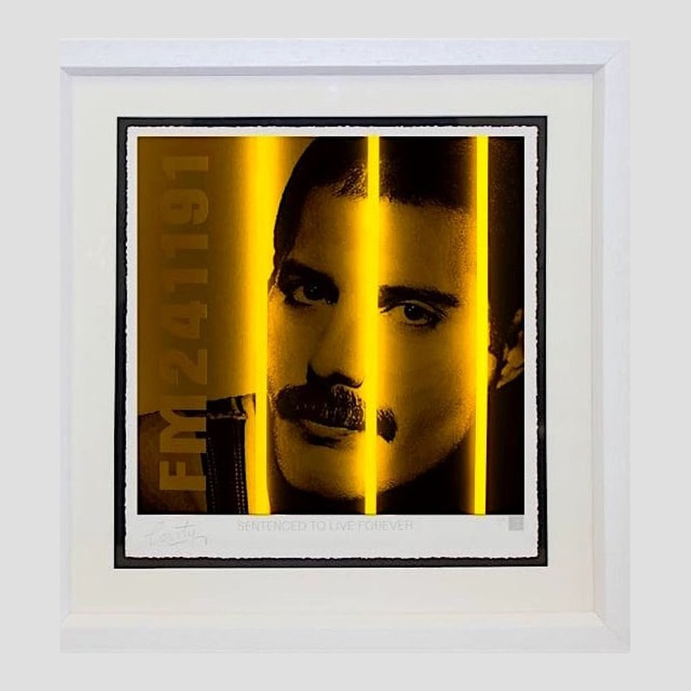 Freddy Mercury - Life Series